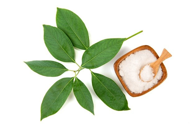 Camphor Essential Oil