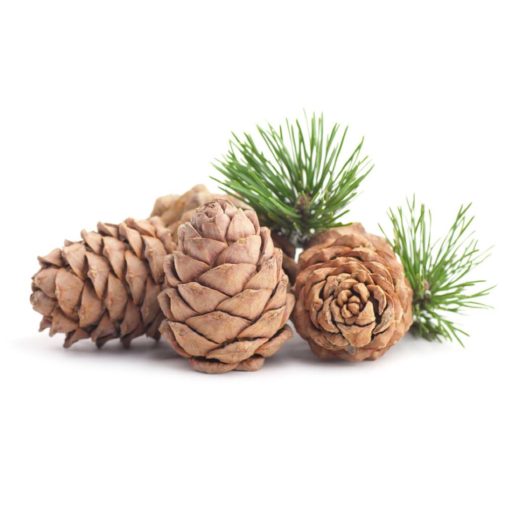 Cedarwood Essential Oil