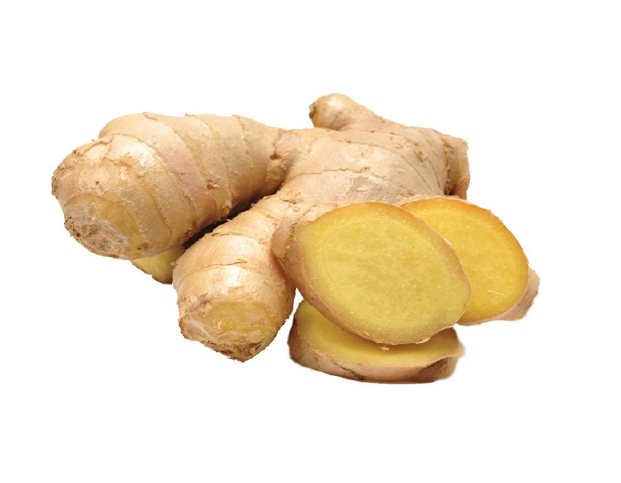 Ginger Root Essential Oil
