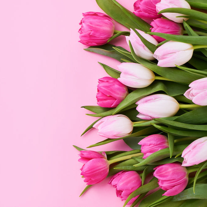 Blooming Tulips Fragrance Oil