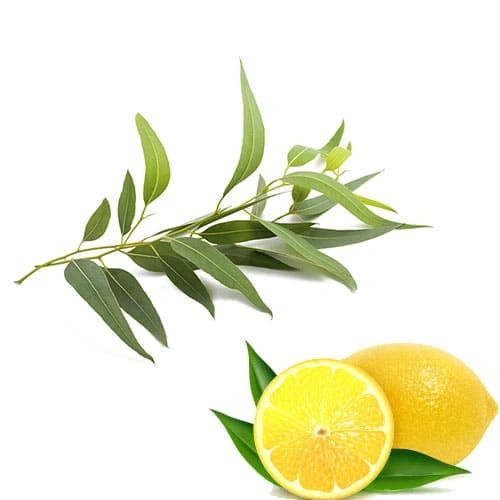 Lemon Eucalyptus Essential Oil