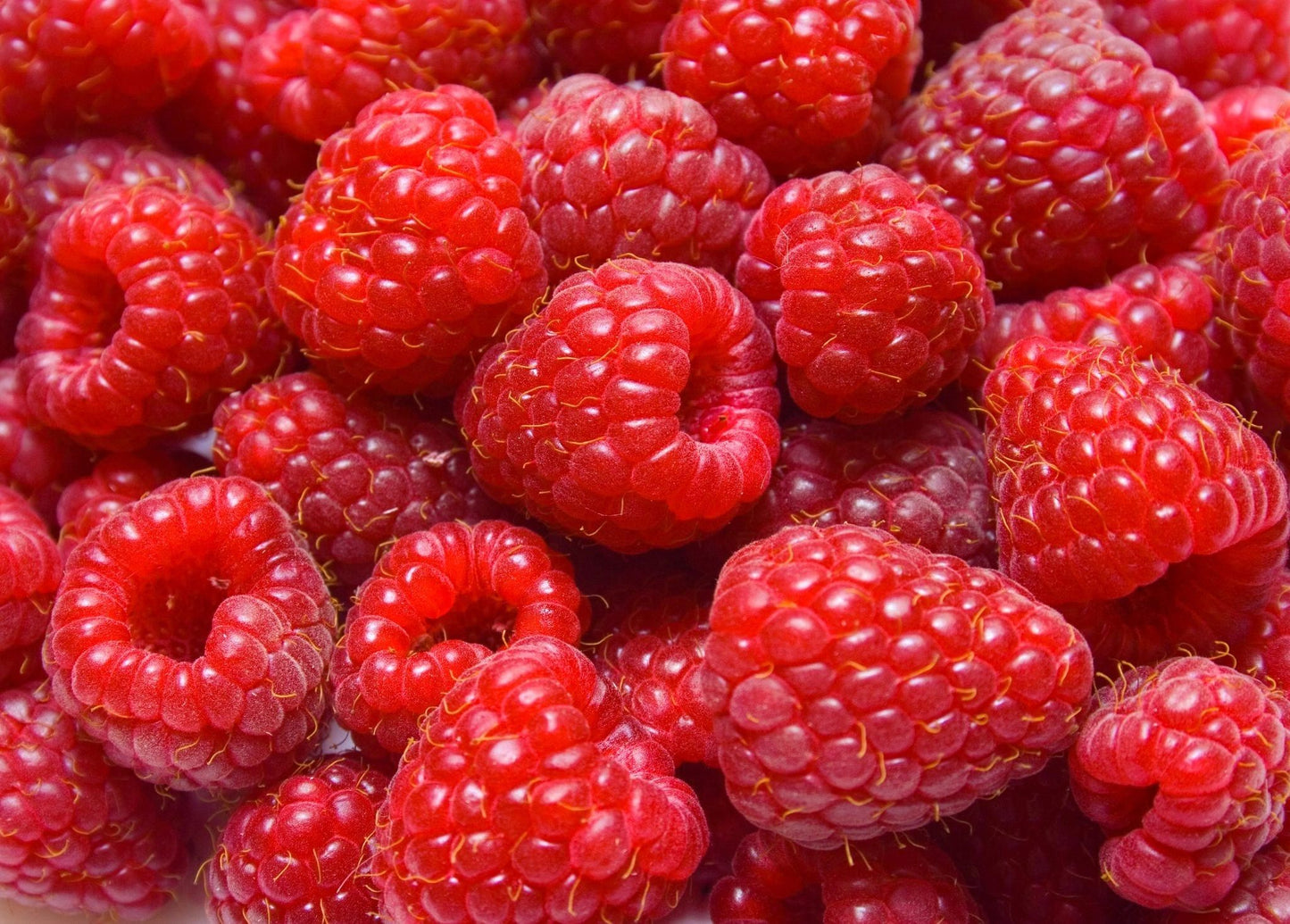 Fresh Picked Raspberry Fragrance Oil