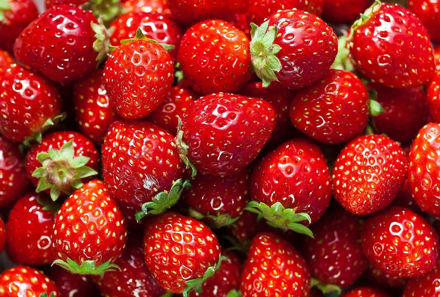 Fresh Picked Strawberry Fragrance Oil
