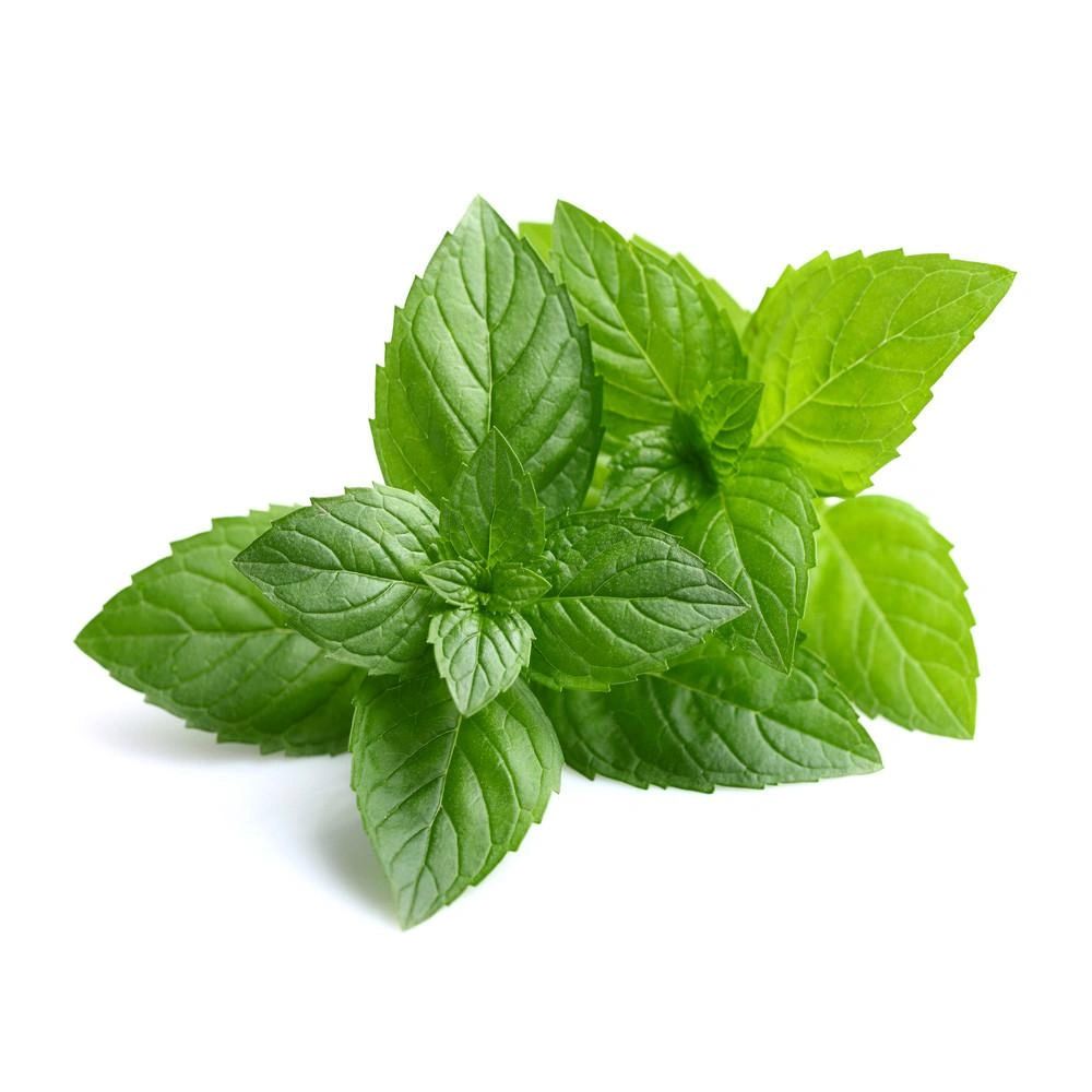Peppermint Essential Oil