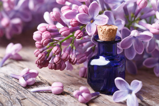Discover the Delightful Aroma of Homemade Lilac Scented Body Oil 💜