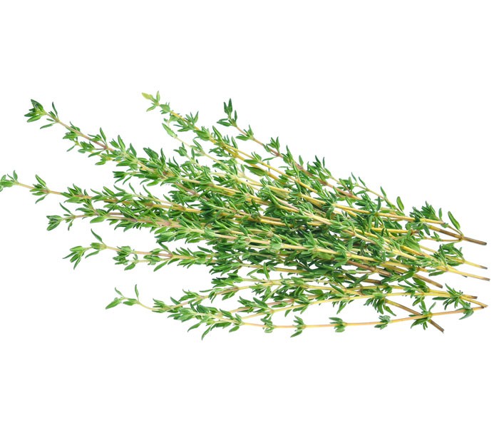 Thyme Essential Oil