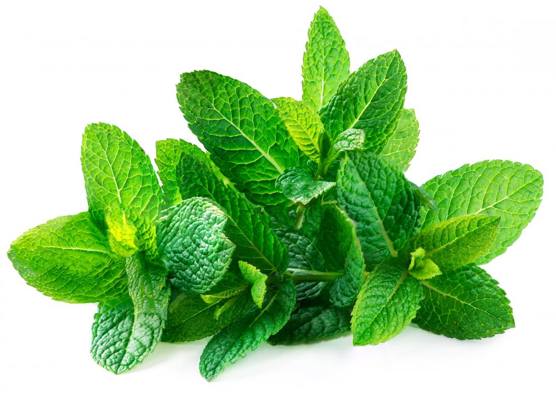 Spearmint Essential Oil