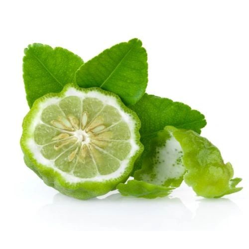 Bergamot Essential Oil